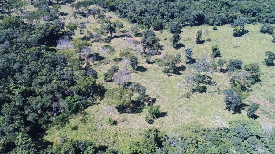 Desmatamento de 13,80 hectares de vegetação nativa localizado com o uso de GPS. Foto: PMMS