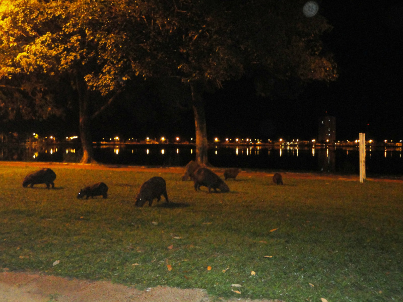 Foto: Rádio Caçula