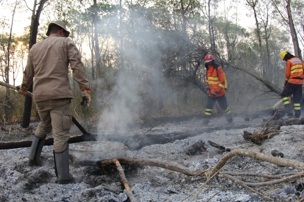 Bombeiros e brigadistas combatem fogo no Pantanal de MS — Foto: Chico Ribeiro/ Governo de Mato Grosso do Sul