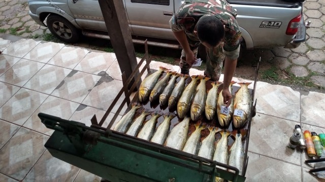 Entre os dias 2 e 8 deste mês, 51 pessoas foram autuadas por pesca ilegal. Foto: PMA/MS
