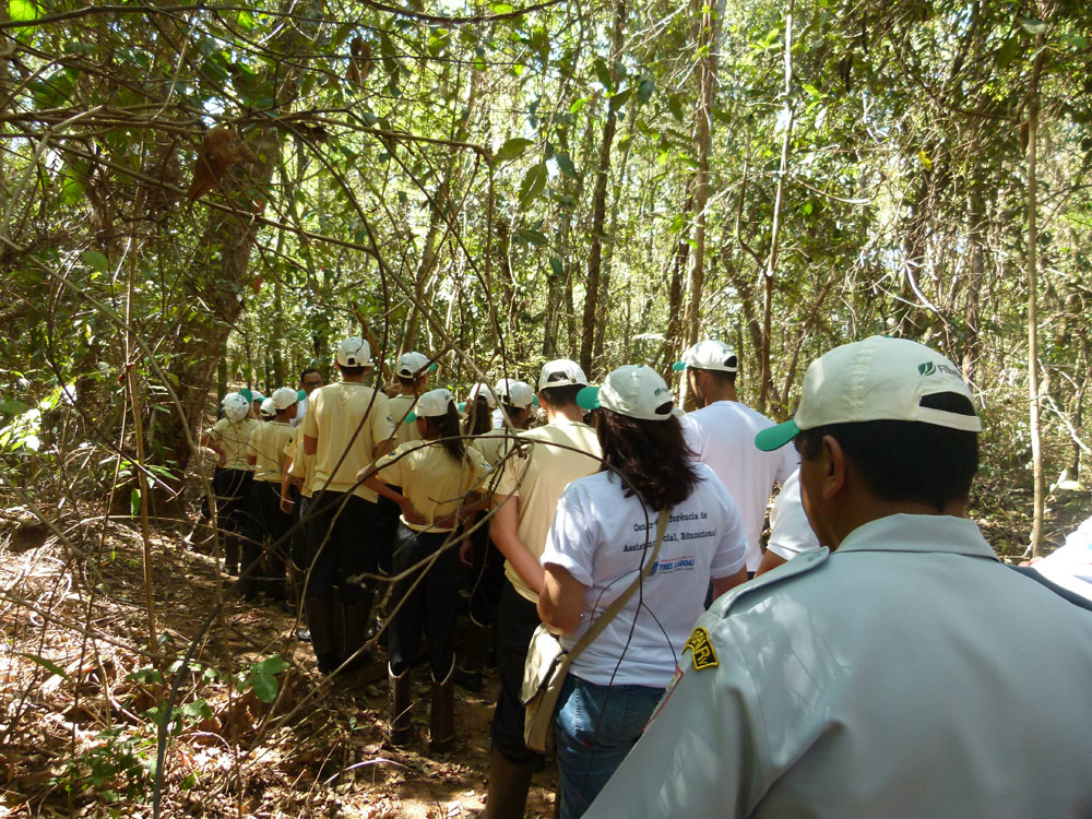 Caminhada ecológica realizada pelos alunosFoto: Assessoria