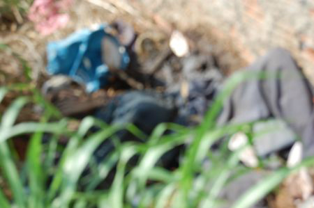 O corpo estava em decomposiçãoFoto: Divulgação