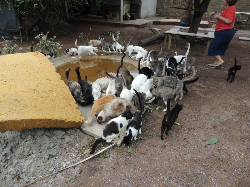 Foto: Rádio Caçula