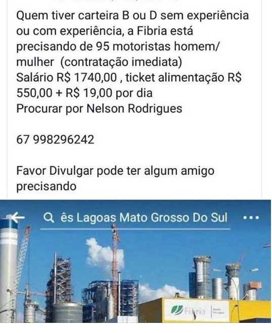 Anúncio divulgado na internet é falso. 