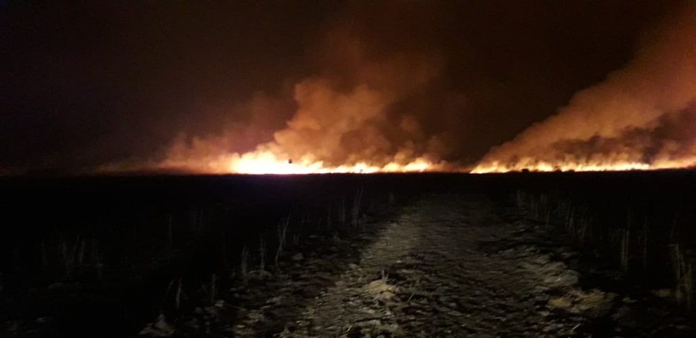 Fogo na região do Nabileque, em Corumbá, Pantanal de MS — Foto: Corpo de Bombeiros/Divulgação
