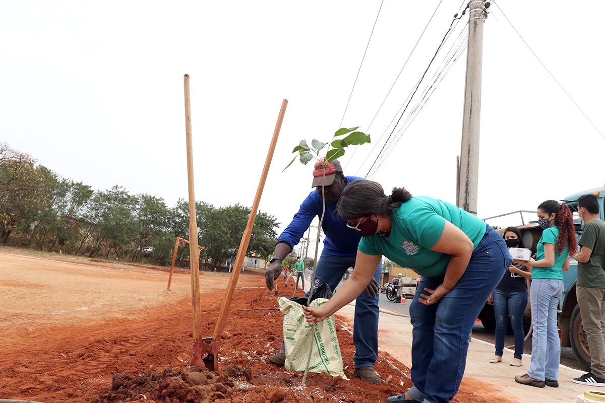 Fotos: Divulgação
