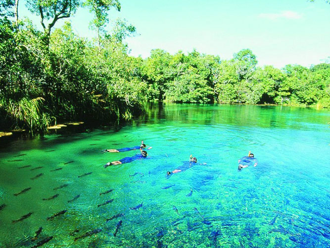 Foto: Rio da Prata em Bonito.