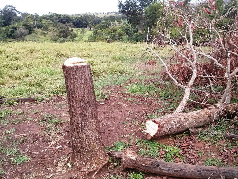 Foto Assessoria de Imprensa