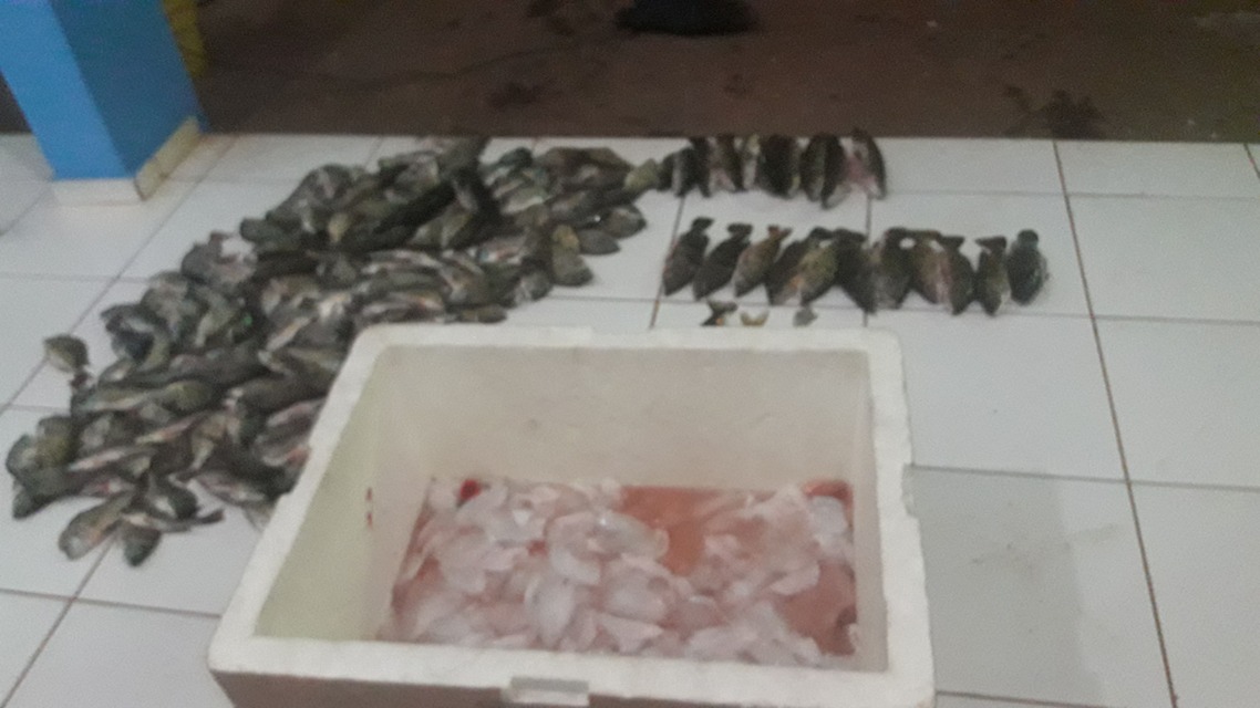 Foto: assessoria PMMS.