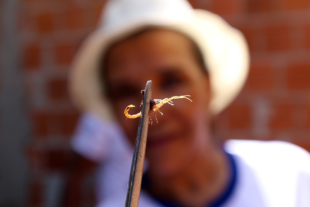 Foram vistoriados 160 apartamentos e onde não tinha moradores foi deixado aviso e panfletos educativos com orientações práticas de como prevenir acidentes com animais peçonhentos, mais especificamente, os escorpiões - Fotos: Assessoria de Comunicação
