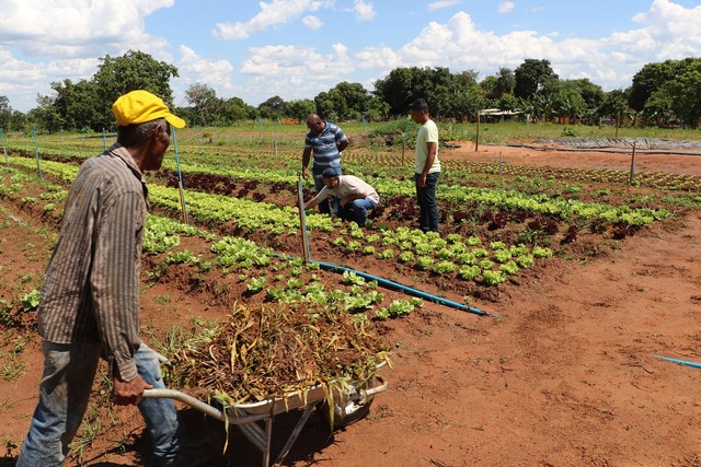 O agricultor recebe ajuda da família e dois funcionários.