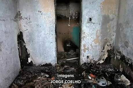 Reprodução
