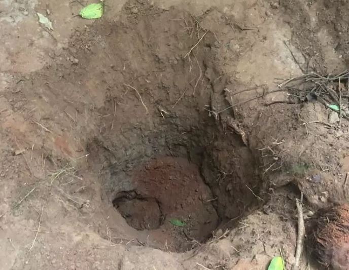 Local onde a menina de 10 anos foi enterrada viva pela própria mãe com ajuda do irmão de 13 anos. Foto:Polícia Civil.