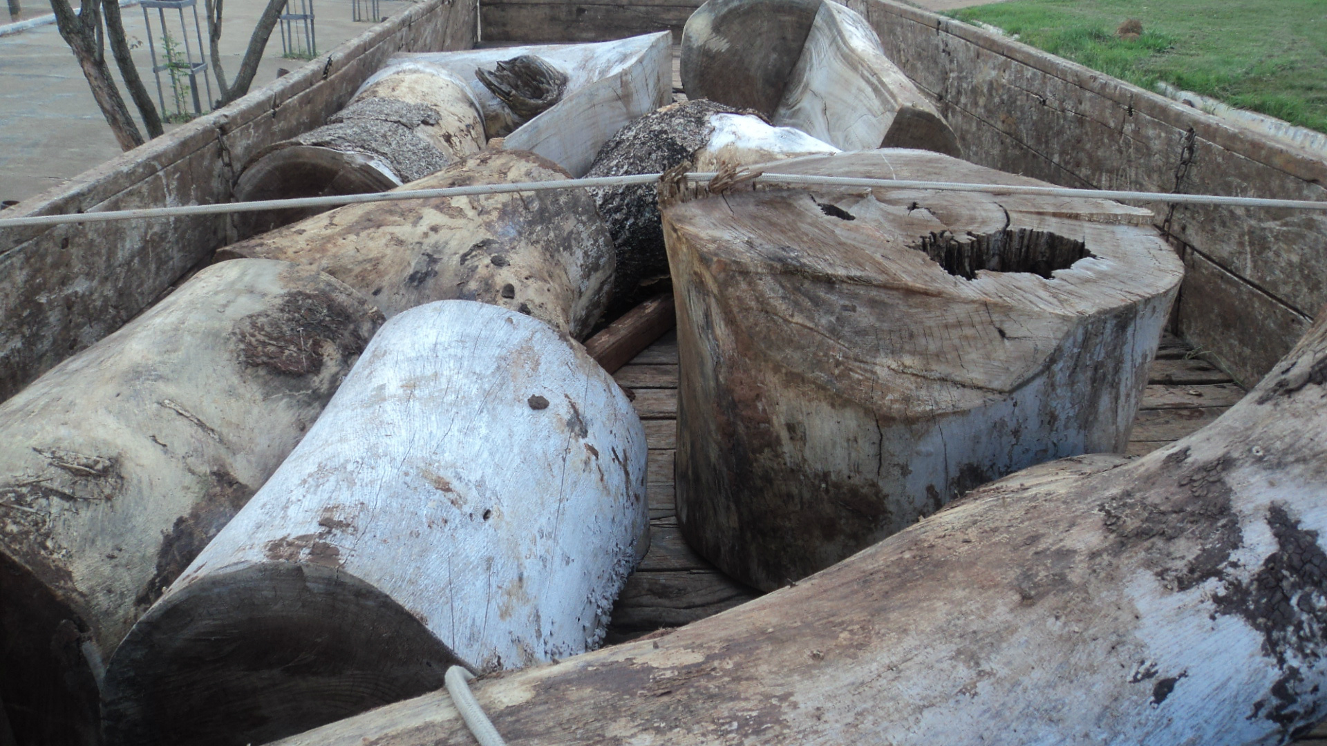 Foto: Assessoria de Imprensa 