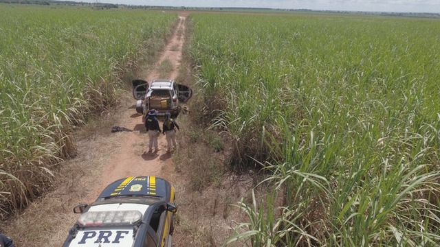 PRF apreende mais de uma tonelada de maconha na BR-158, em Paranaíba. — Foto: PRF/Divulgação