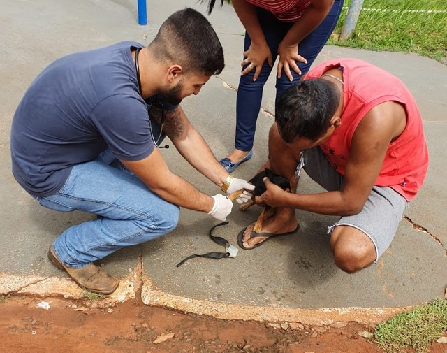 Foto: Assessoria CCZ-TL.