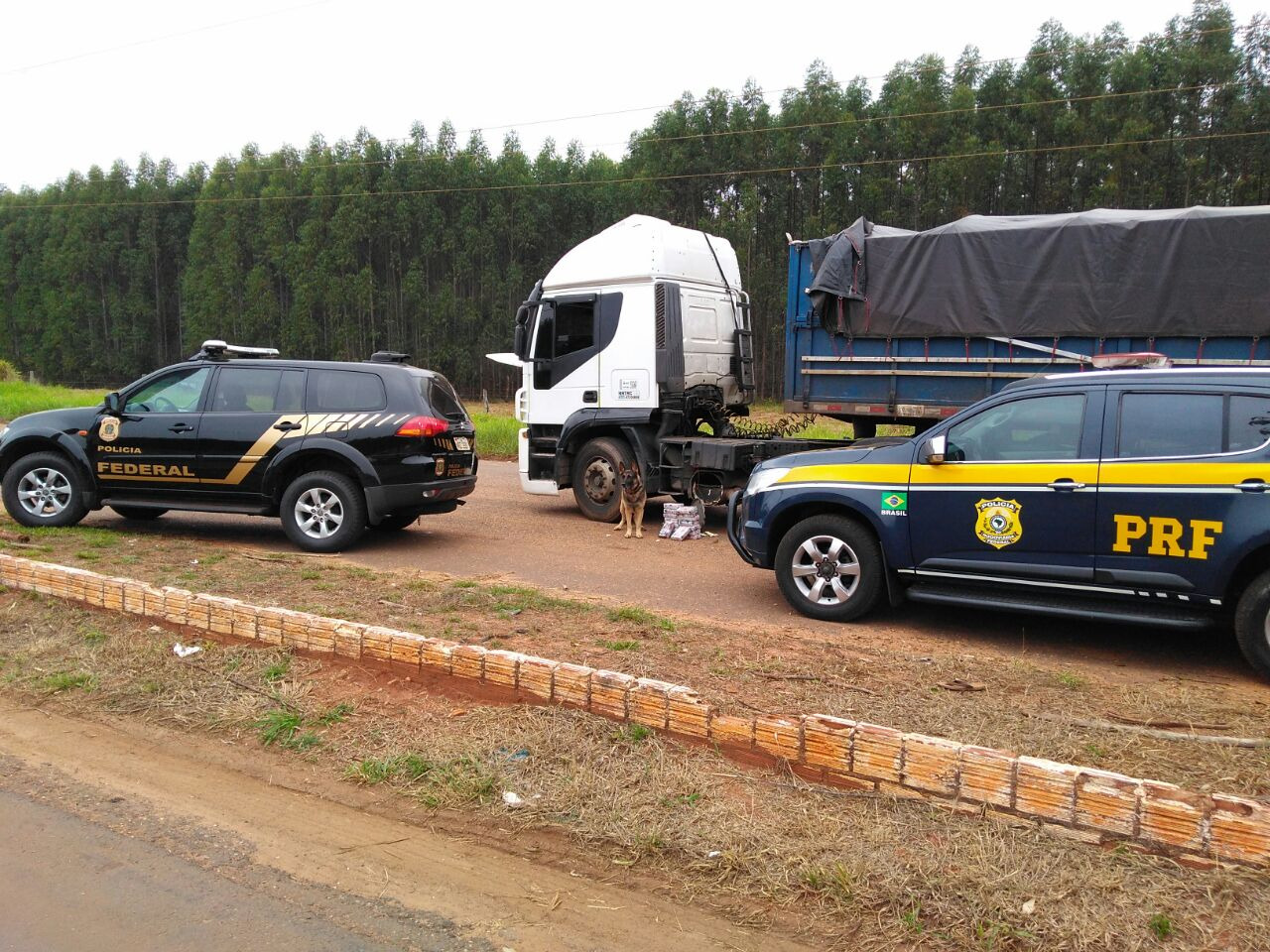 A PRF e PF apreenderam uma carga milionária de drogas em Três Lagoas. Foto: Divulgação PRF