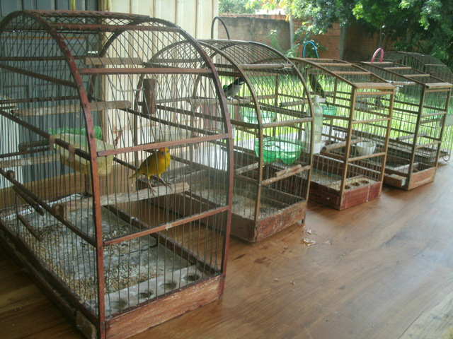 (Foto: Assessoria de Imprensa)