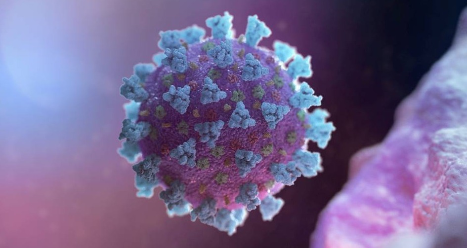 Foto: Nexu Science Communication