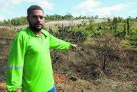 Foto: Fernanda Carvalho/O TempoServente encontrou ossada perto de uma pequena árvore