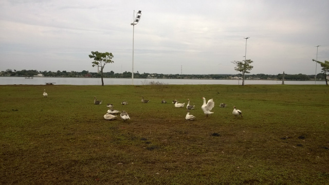 Lagoa Maior. (Foto: Lucas Gustavo/ Rádio Caçula).