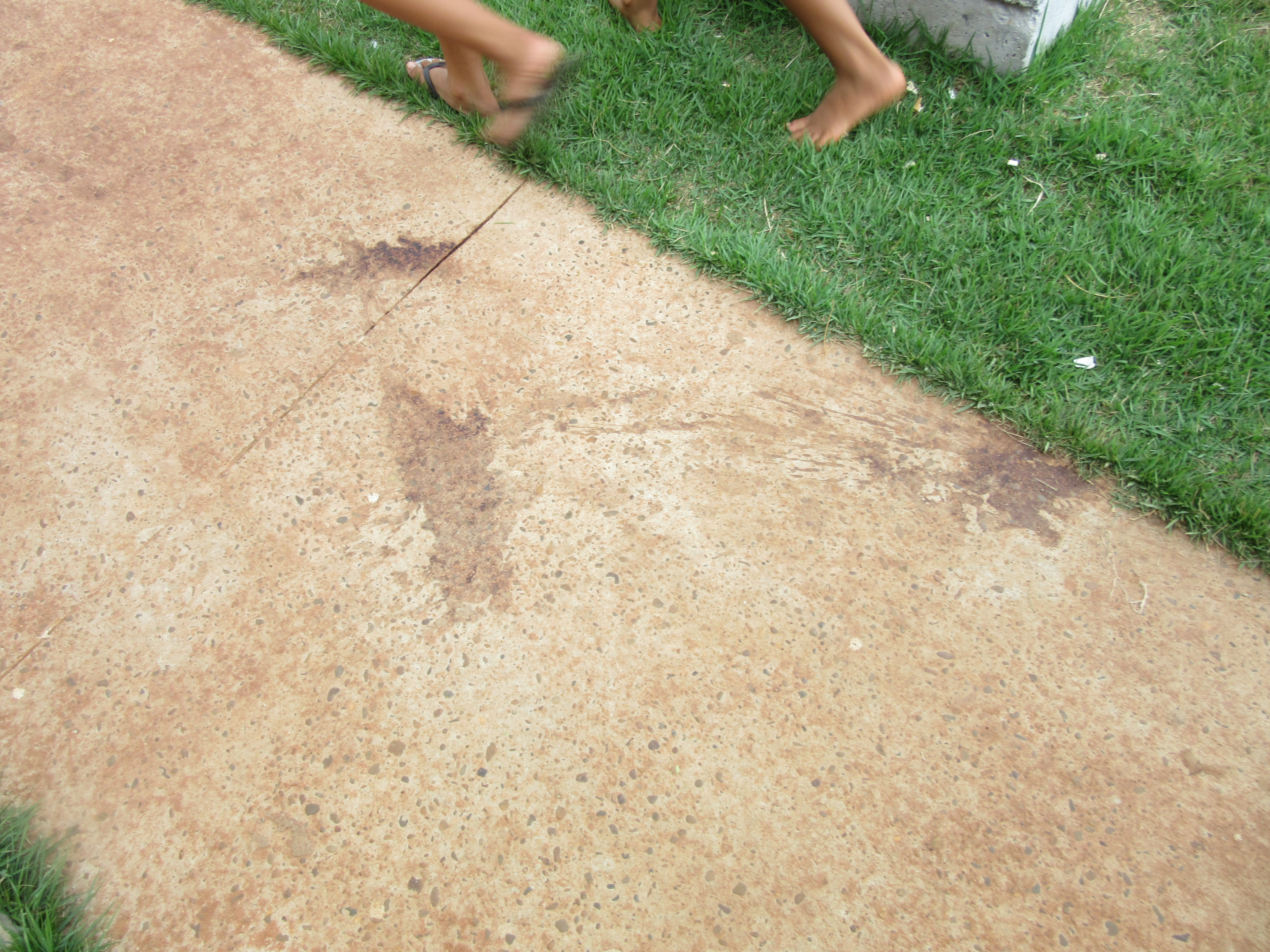 Marcas de sangue do garoto de oito anos ainda estão no chão no condomínio Novo Oeste. Foto: Rádio Caçula.