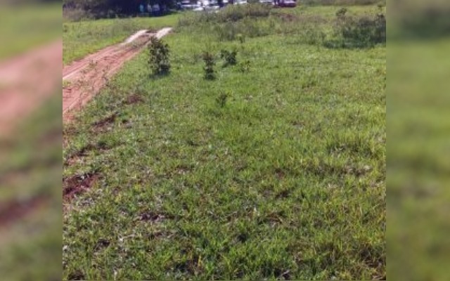 Famílias estão em fazenda que fica na divisa entre Inocência e Aparecida do Taboado. Foto: InfocoMS