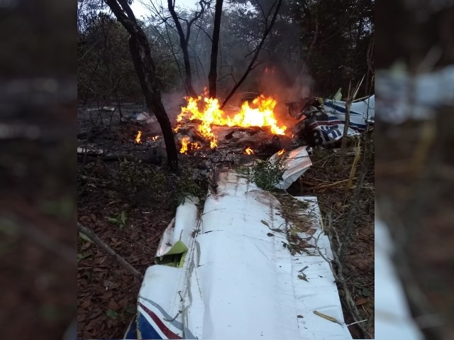 Avião que caiu em mata fechada, em Campo Grande — Foto: Redes sociais