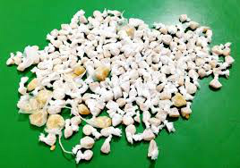 Meramente ilustrativa