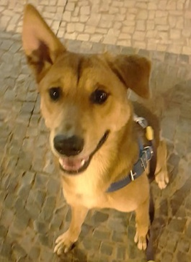 Foto: Arquivo pessoal.