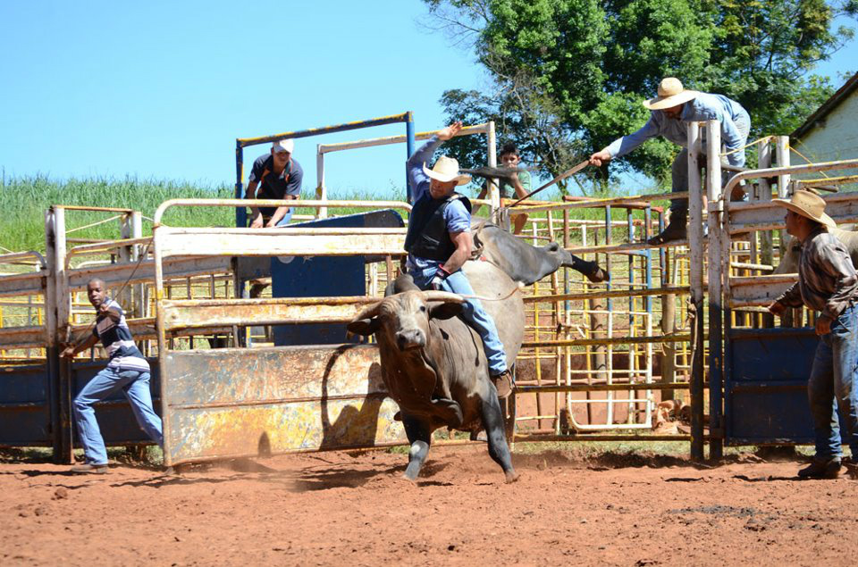 Foto de Divulgação