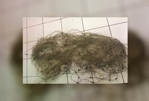 Rede de pesca  ilegal, medindo 110 metros, apreendida pela polícia. Foto: Divulgação PMMS