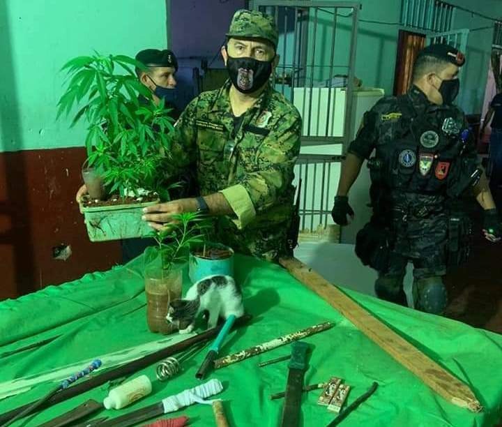 Policial segura vaso com pé de maconha e sobre a mesa as armas artesanais (Foto: Divulgação)