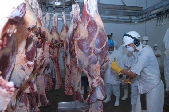 A pecuária e toda a cadeia processadora de proteína animal e subprodutos (labate, laticínios e couro) é a estrela desta dinâmica do crescimento entre todo os segmentos que compõem o agronegócio do Centro-Oeste.