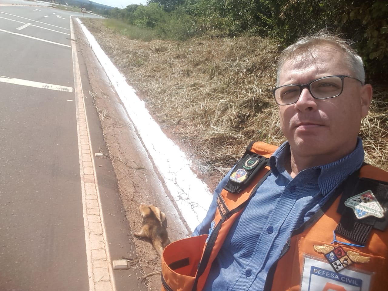 Flagra registrado por um guarda da defesa civíl que resgatou o corpo do animal. Foto: Divulgação