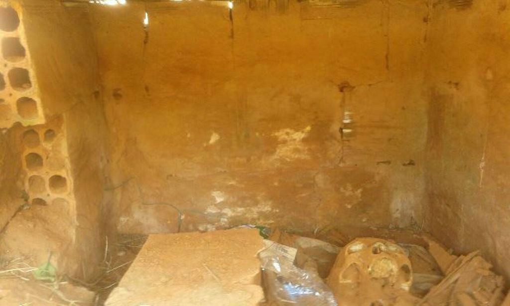 Crânios estão expostos no cemitério municipal de Três Lagoas. Foto: Rádio Caçula