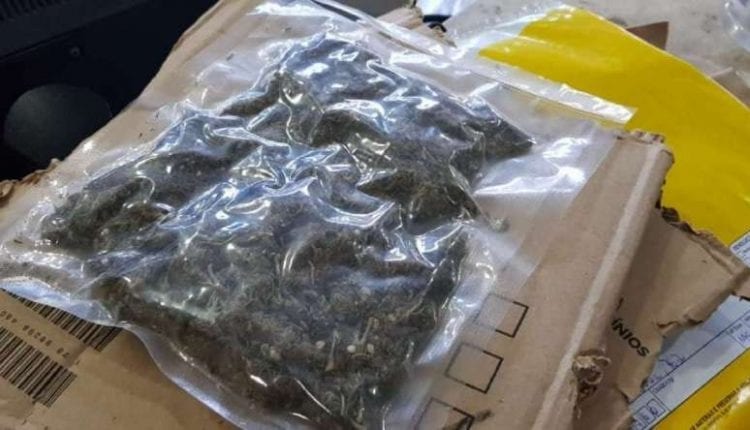 Na casa do traficante, a polícia ainda encontrou 6 pés de maconha (Ilustrativa)