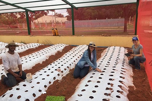 Sindicato Rural de Três Lagoas terá Vitrine Tecnológica de Horticultura. Foto: Sindicato Rural