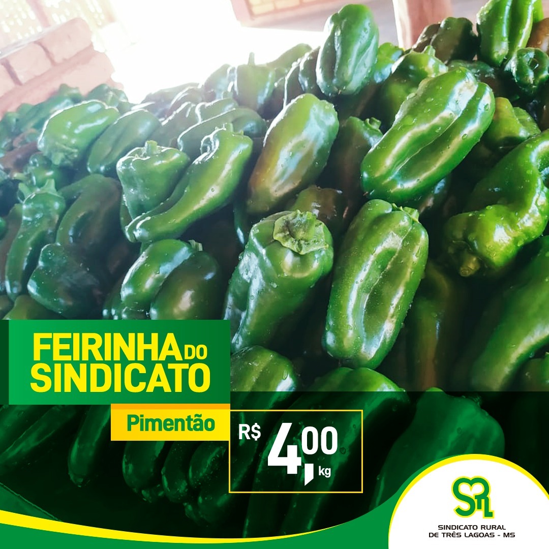 Sindicato Rural de Três Lagoas terá Vitrine Tecnológica de Horticultura. Foto: Sindicato Rural