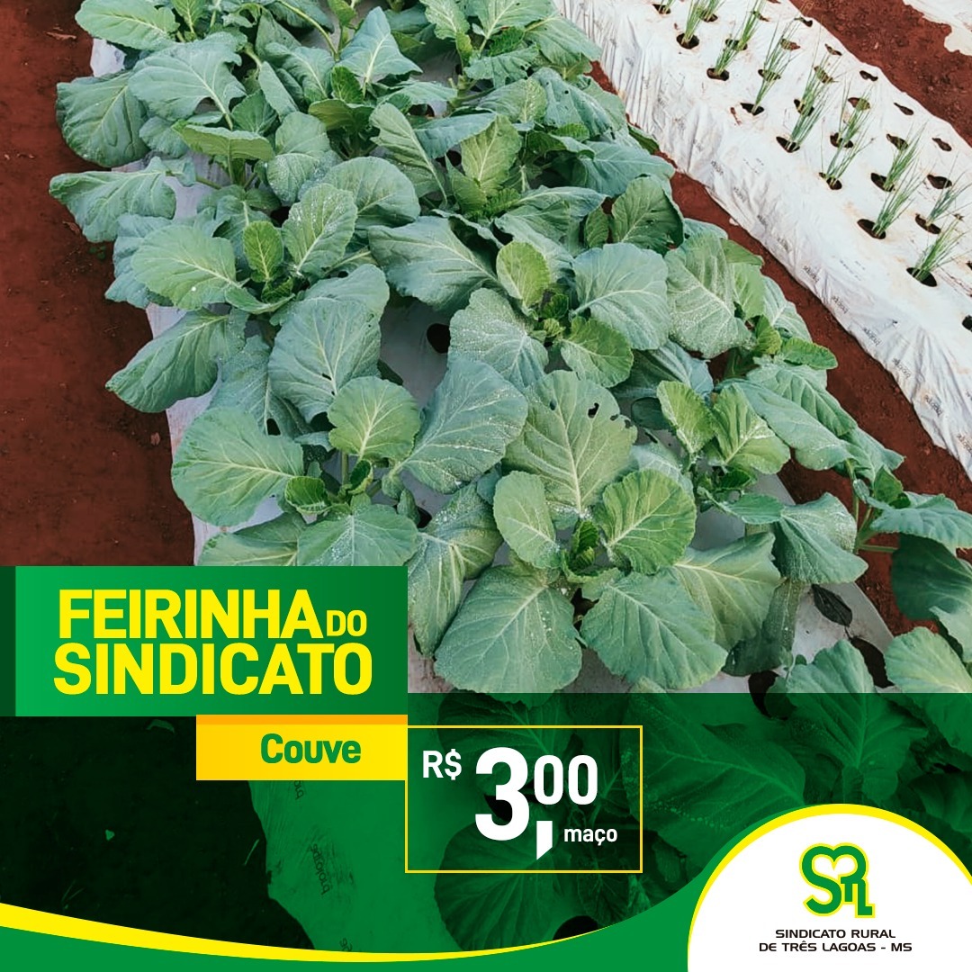 Sindicato Rural de Três Lagoas terá Vitrine Tecnológica de Horticultura