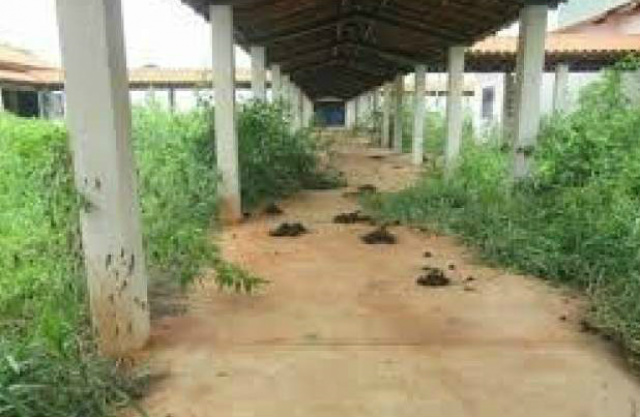 Unidade inaugurada em 2014 segue abandonada