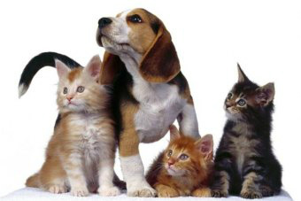 Foto: Ilustração