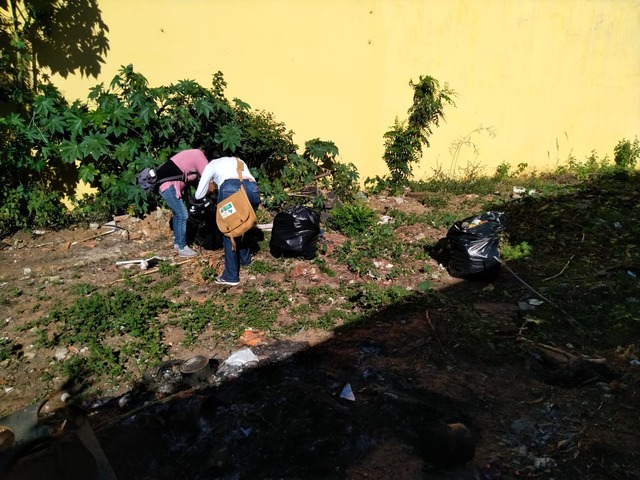 Mutirão é realizado nos bairros com elevados índices de infestação do Aedes. Foto: Divulgação.