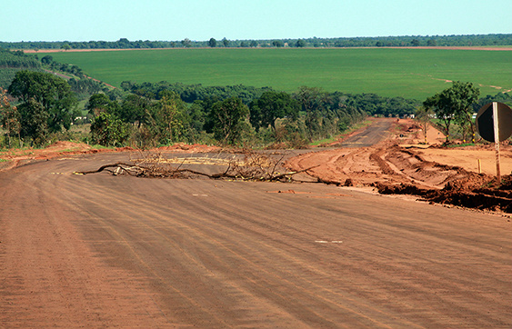 MS 040 (Foto: Ilustração)