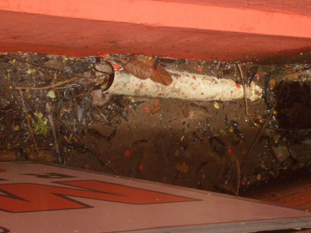 Enviada por internauta