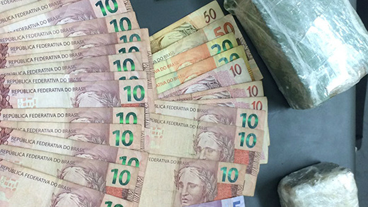 A maconha estava em um matagal. Foto: Divulgação