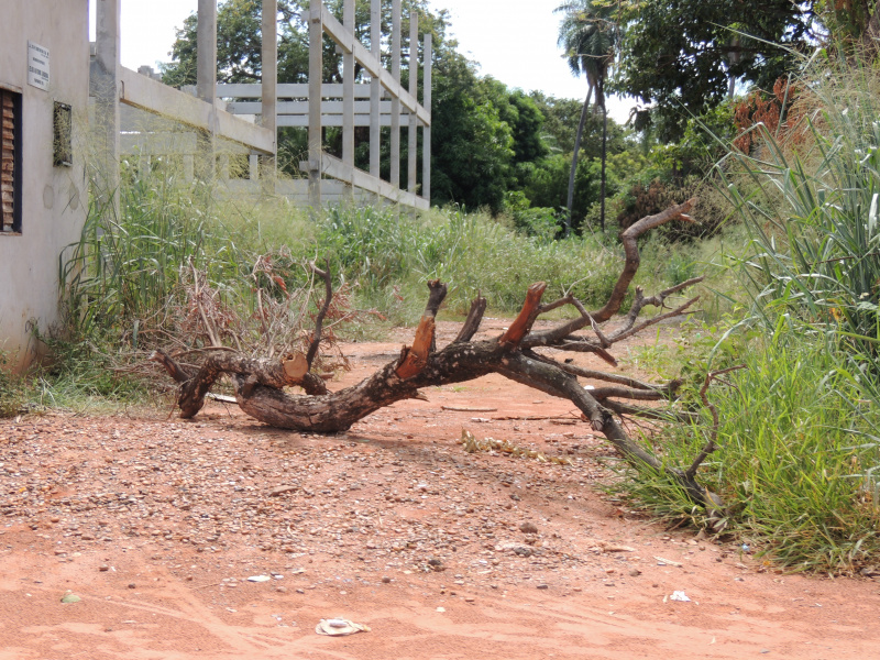 Um pedaço de árvore, foi colocado na entrada do lote para evitar a entrada dos usuários. 