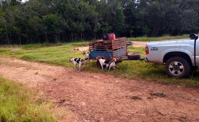 Veículo e carreta usada pelos caçadores foram apreendidas. (Foto: Divulgação/PMA)