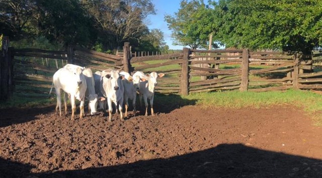 Foto: Assecom/DOF/SEJUSP.