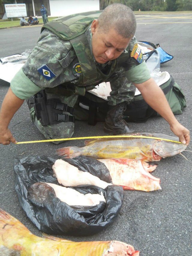 Turistas estavam com pescado acima do permitido - Foto: Gazeta Digital